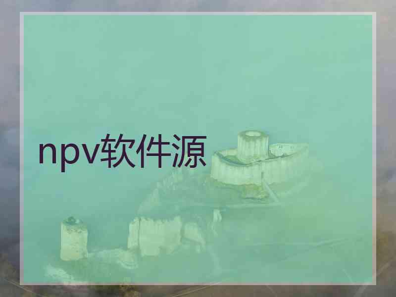 npv软件源