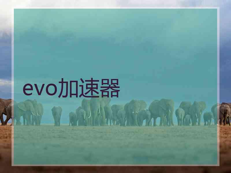 evo加速器