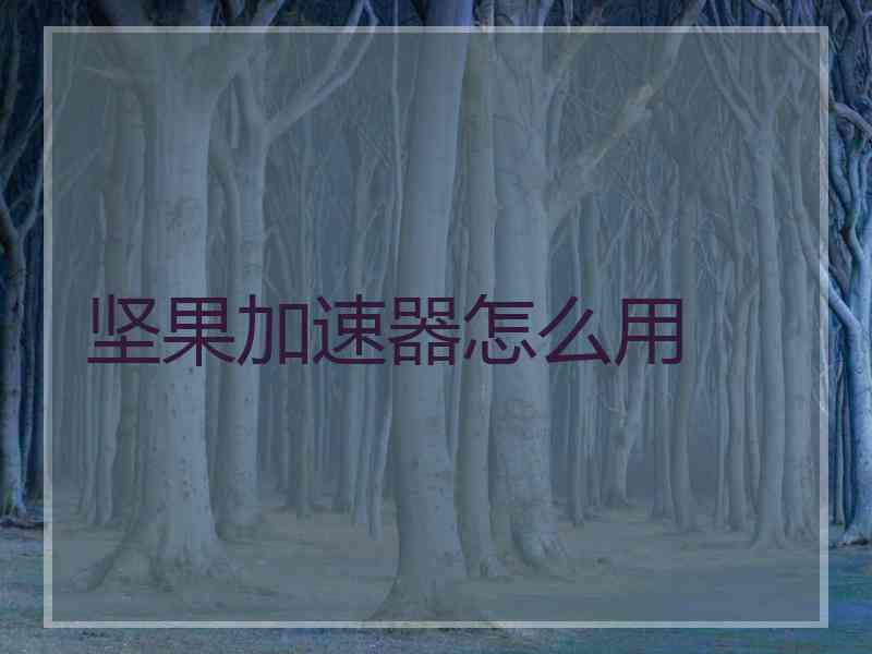 坚果加速器怎么用