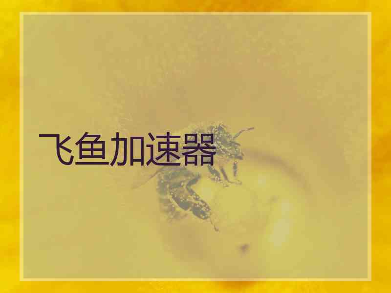 飞鱼加速器