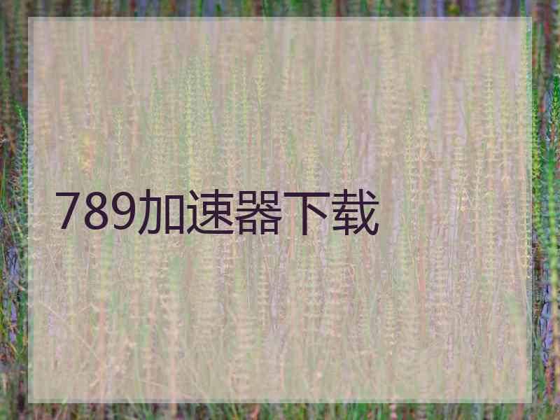 789加速器下载