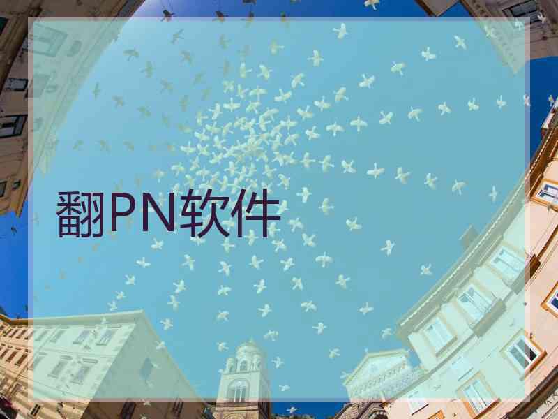 翻PN软件