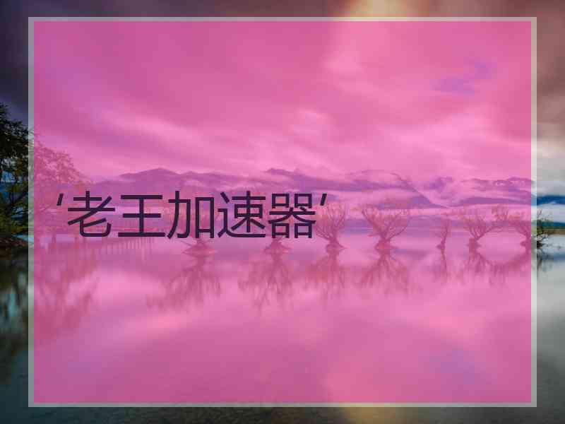 ‘老王加速器’