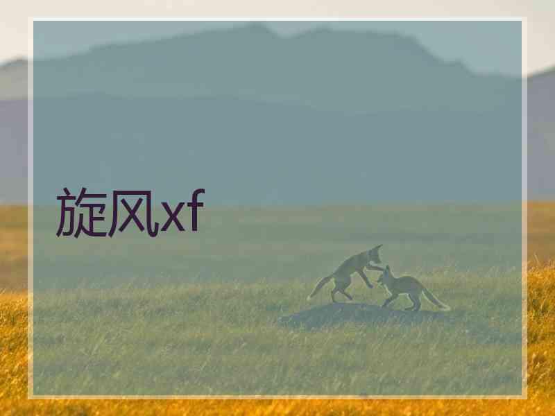 旋风xf