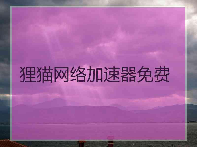 狸猫网络加速器免费