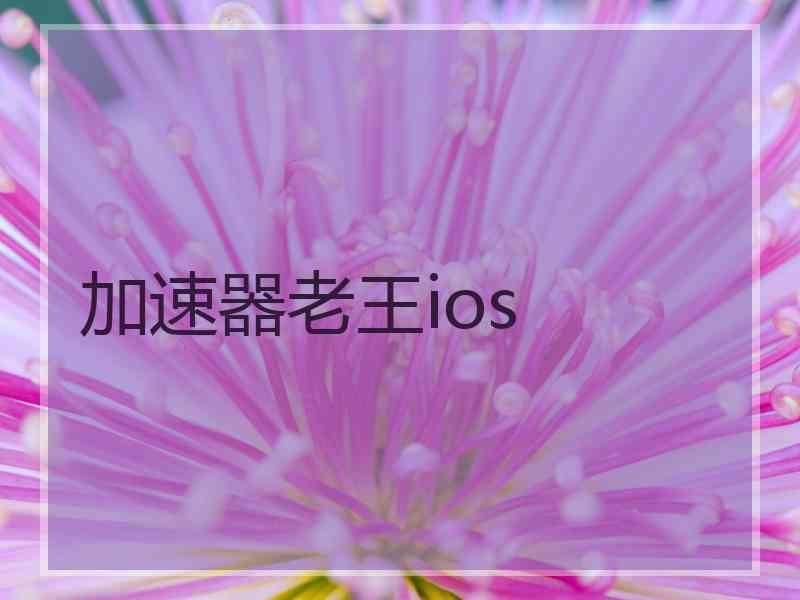 加速器老王ios