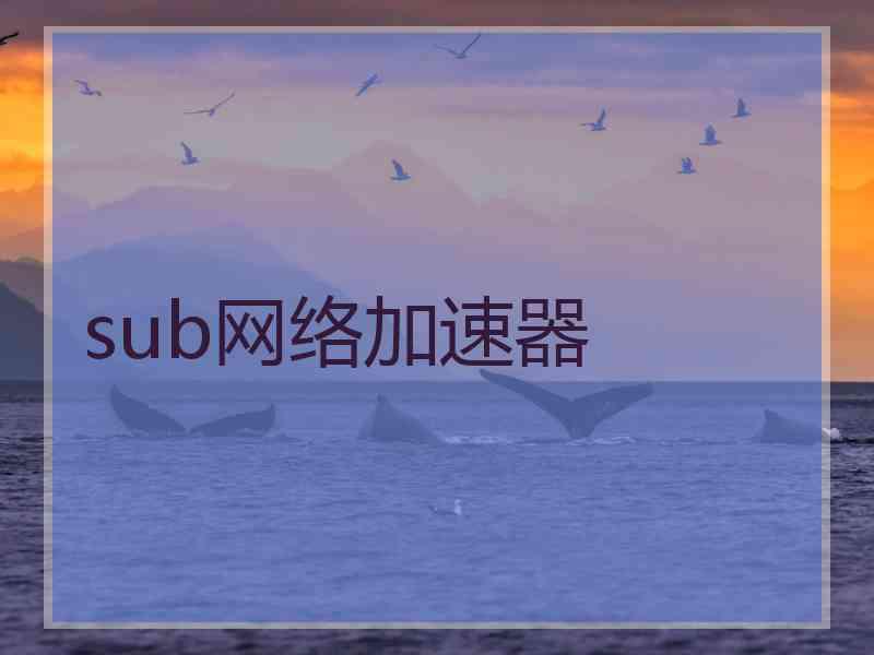 sub网络加速器