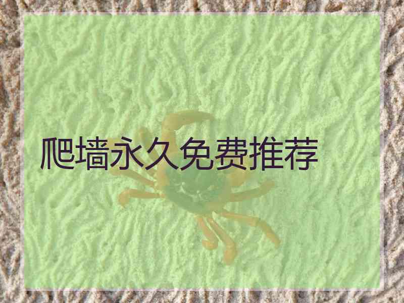 爬墙永久免费推荐