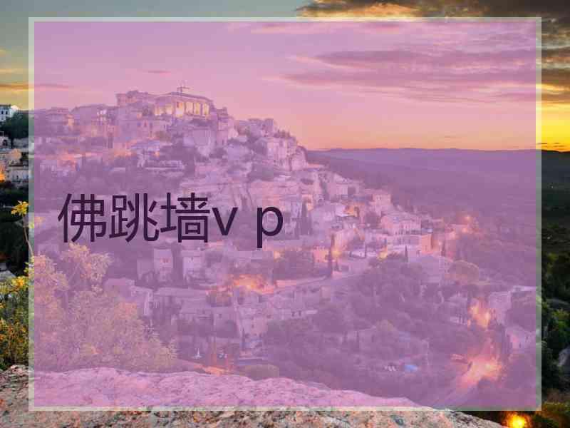 佛跳墙v p