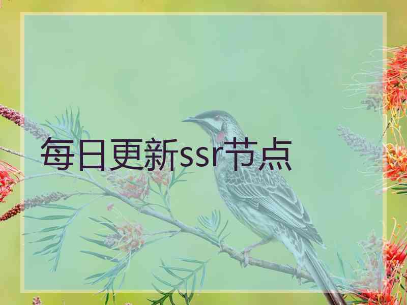 每日更新ssr节点