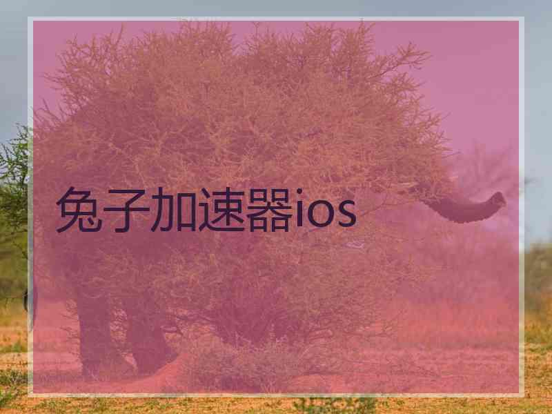 兔子加速器ios