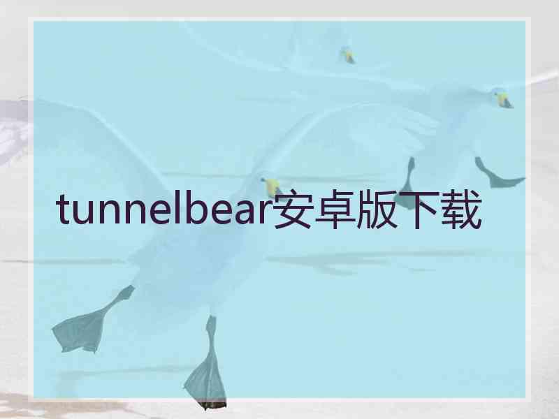 tunnelbear安卓版下载
