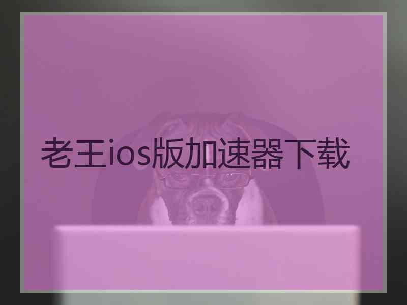 老王ios版加速器下载