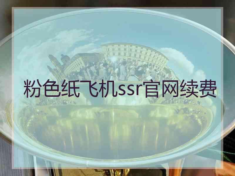 粉色纸飞机ssr官网续费