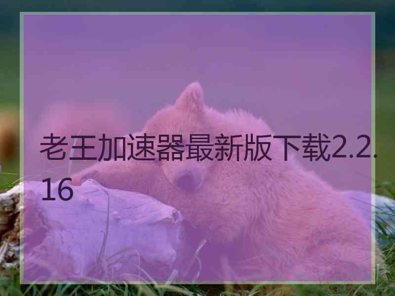 老王加速器最新版下载2.2.16