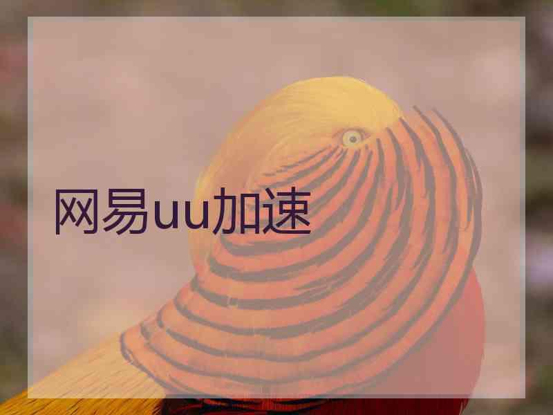 网易uu加速