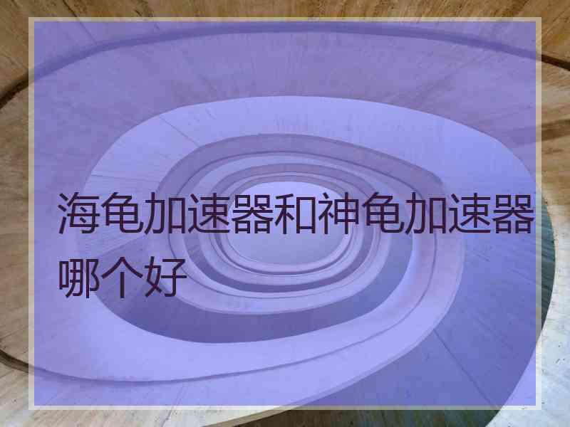 海龟加速器和神龟加速器哪个好