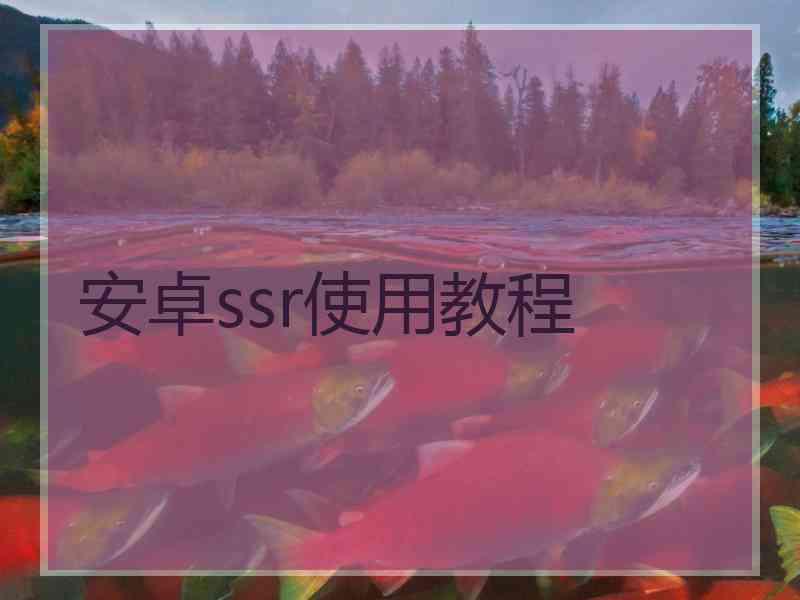 安卓ssr使用教程