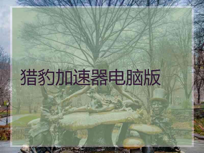 猎豹加速器电脑版