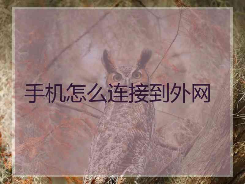 手机怎么连接到外网