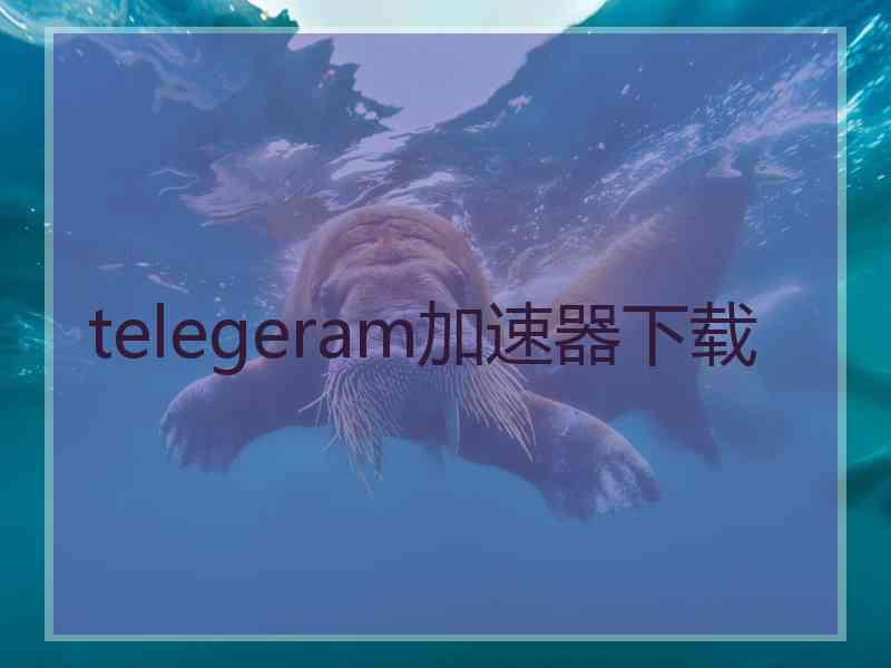 telegeram加速器下载