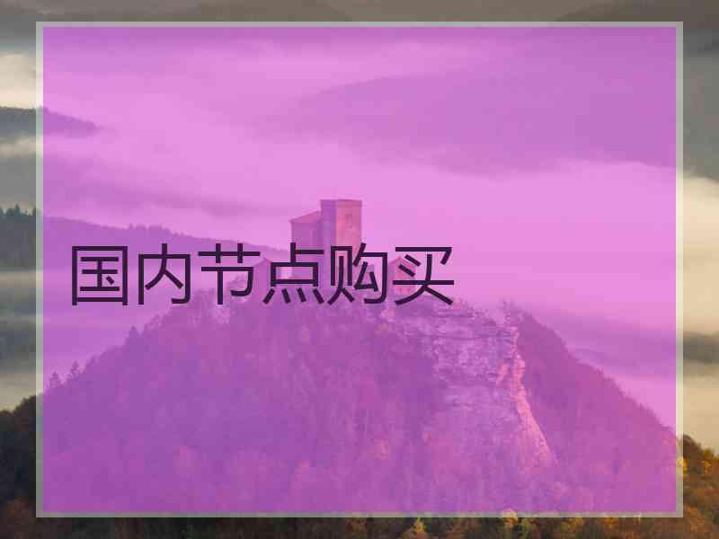 国内节点购买