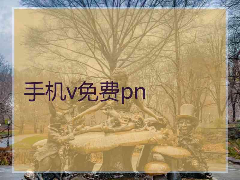 手机v免费pn