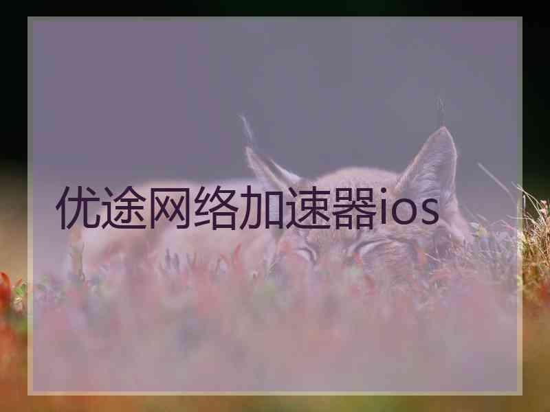 优途网络加速器ios