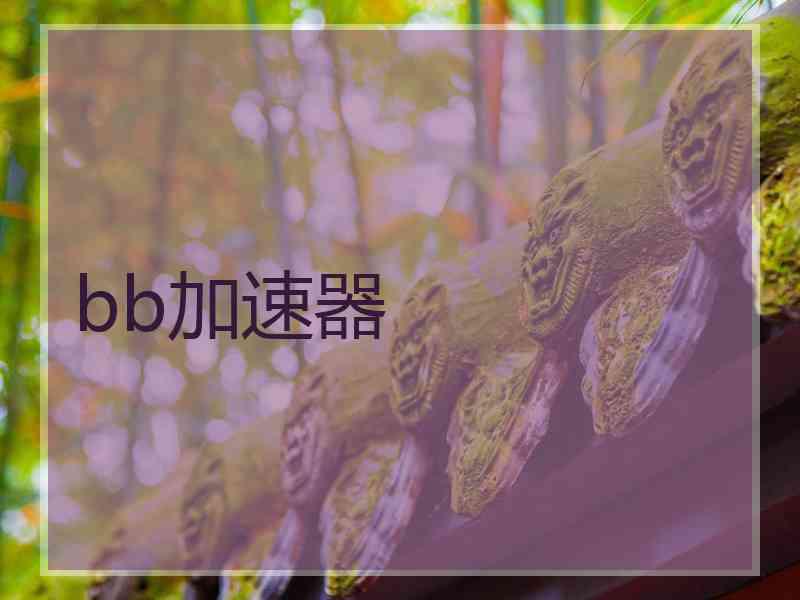 bb加速器
