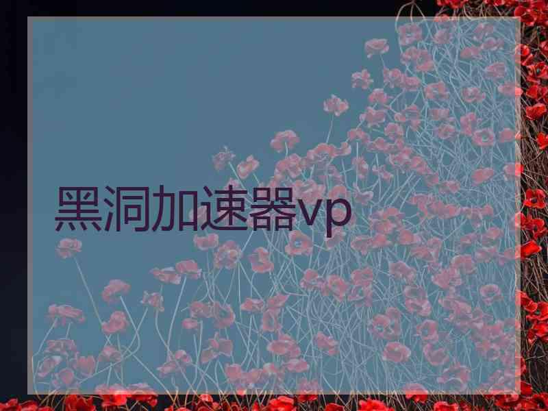 黑洞加速器vp