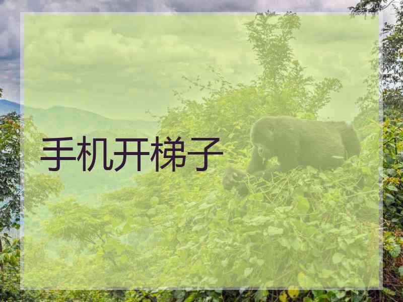 手机开梯子