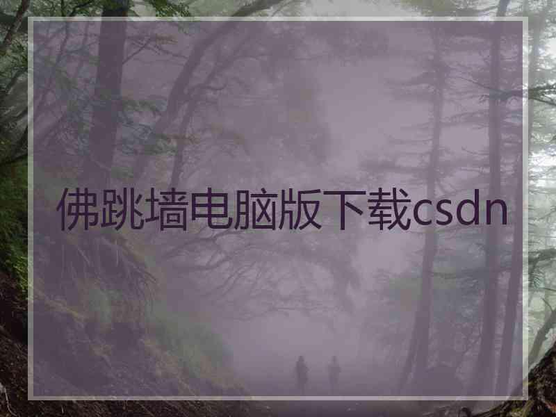 佛跳墙电脑版下载csdn