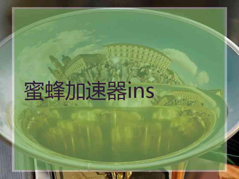蜜蜂加速器ins