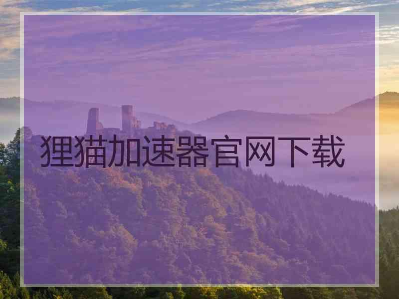 狸猫加速器官网下载