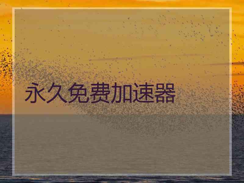 永久免费加速器