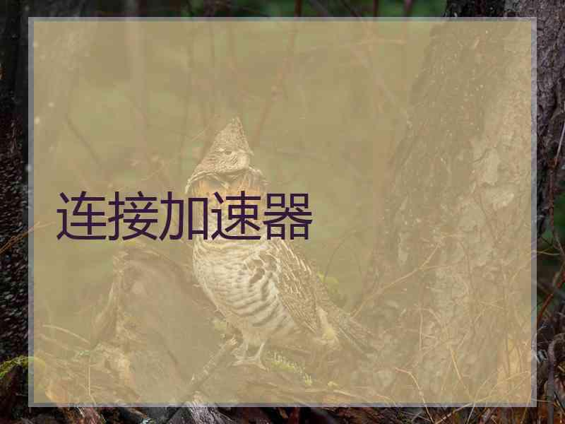 连接加速器