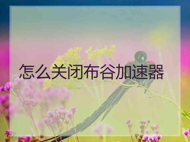 怎么关闭布谷加速器