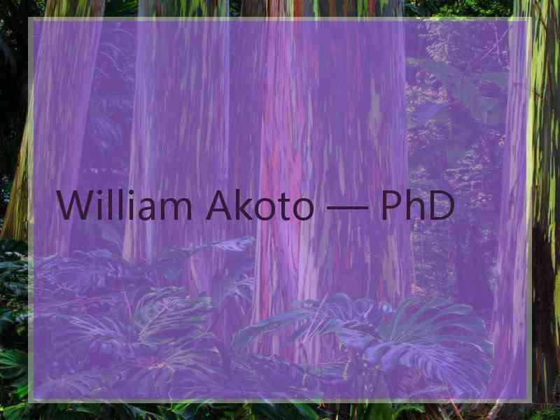 William Akoto — PhD