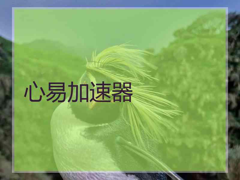 心易加速器