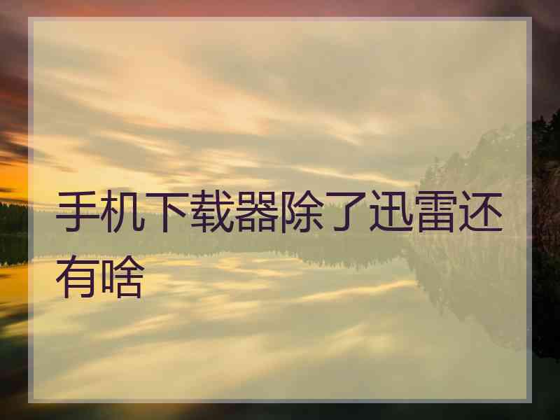 手机下载器除了迅雷还有啥