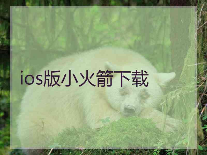 ios版小火箭下载