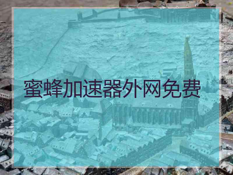 蜜蜂加速器外网免费