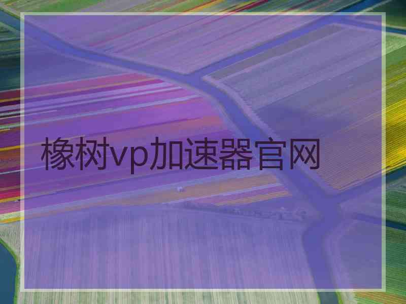 橡树vp加速器官网