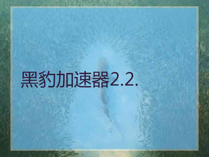 黑豹加速器2.2.