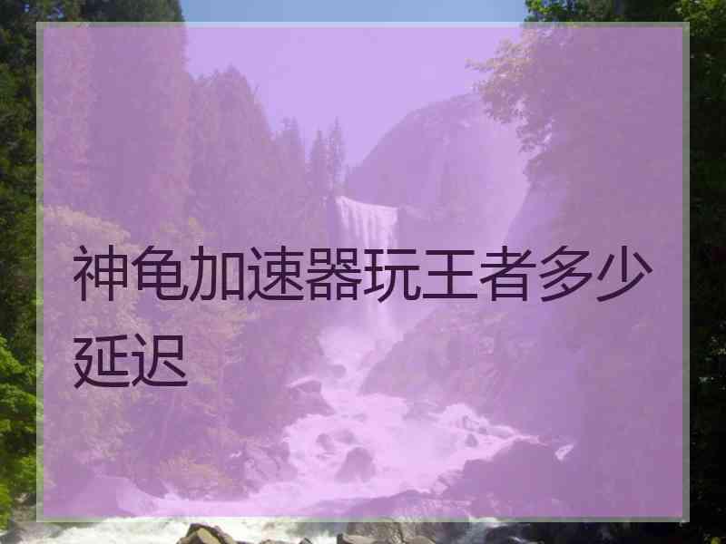 神龟加速器玩王者多少延迟