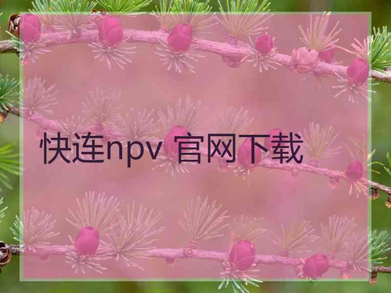 快连npv 官网下载