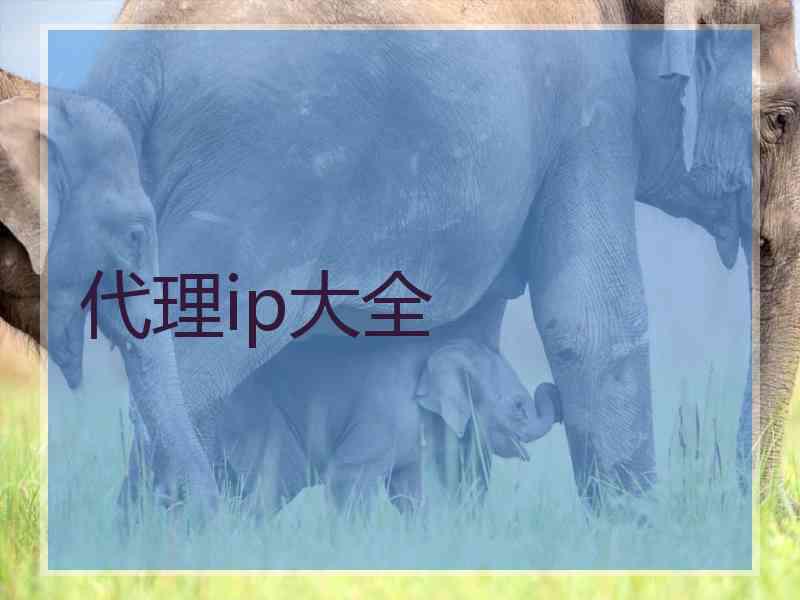 代理ip大全