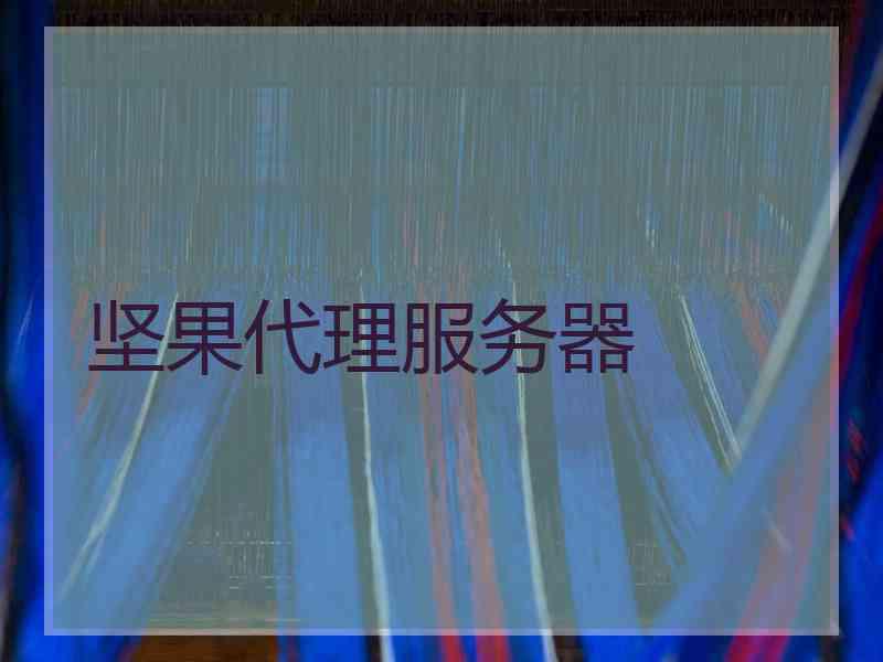 坚果代理服务器