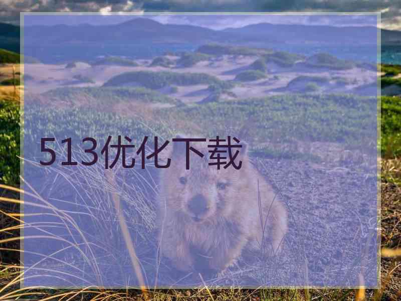 513优化下载