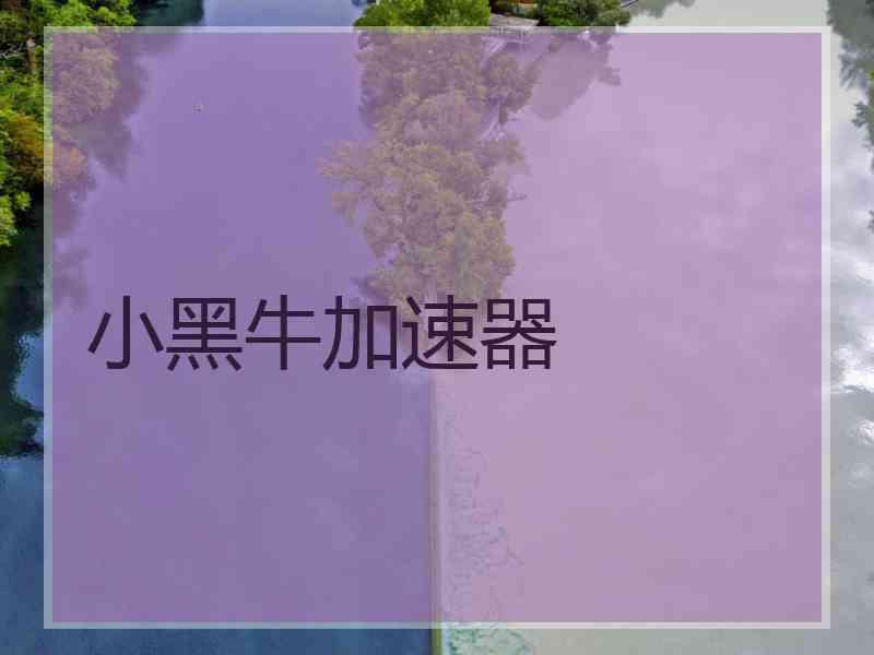 小黑牛加速器